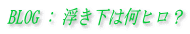 BLOG : ͉qH 
